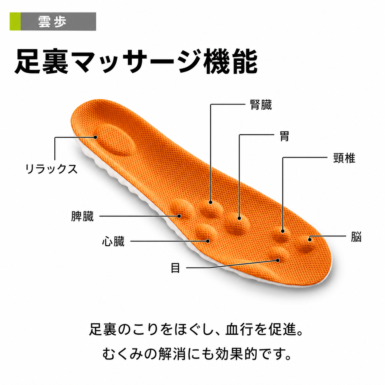 雲歩 高反発・高耐久クッション
